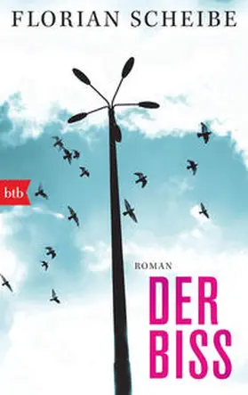 Scheibe |  Der Biss | Buch |  Sack Fachmedien