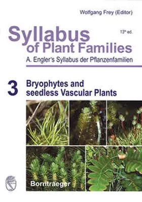 Engler / Frey / Stech |  Syllabus of Plant Families - A. Engler's Syllabus der Pflanzenfamilien Part 3: Bryophytes and seedless Vascular Plants | Buch |  Sack Fachmedien