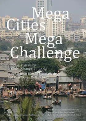 Kraas / Hackenbroch / Sterly |  Mega Cities Mega Challenge | Buch |  Sack Fachmedien