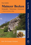 Schäfer |  Mainzer Becken | Buch |  Sack Fachmedien