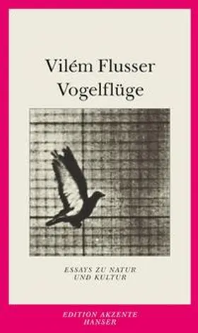 Flusser |  Vogelflüge | Buch |  Sack Fachmedien