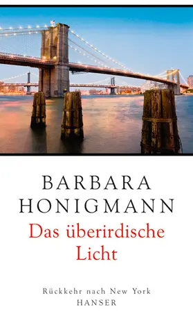 Honigmann |  Das überirdische Licht | eBook | Sack Fachmedien