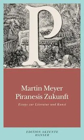 Meyer |  Piranesis Zukunft | Buch |  Sack Fachmedien