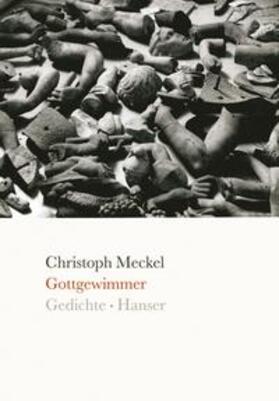 Meckel | Gottgewimmer | Buch | 978-3-446-23561-8 | sack.de