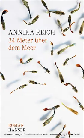 Reich |  34 Meter über dem Meer | eBook | Sack Fachmedien