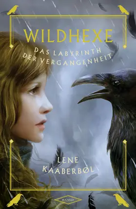 Kaaberbøl |  Wildhexe 05. Das Labyrinth der Vergangenheit | Buch |  Sack Fachmedien