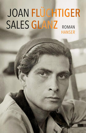 Sales | Sales, J: Flüchtiger Glanz | Buch | 978-3-446-24910-3 | sack.de