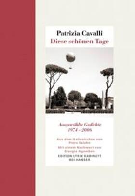 Cavalli | Diese schönen Tage | Buch | 978-3-446-26473-1 | sack.de