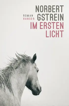 Gstrein | Im ersten Licht | Buch | 978-3-446-28297-1 | www.sack.de