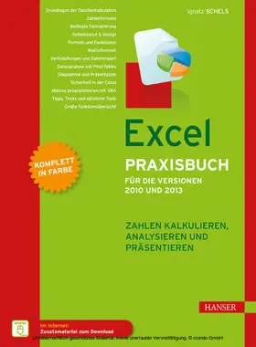 Schels |  Excel Praxisbuch für die Versionen 2010 und 2013 | eBook | Sack Fachmedien