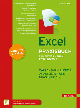 Schels | Excel Praxisbuch für die Versionen 2010 und 2013 | E-Book | sack.de