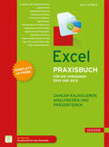 Schels |  Excel Praxisbuch für die Versionen 2010 und 2013 | eBook | Sack Fachmedien