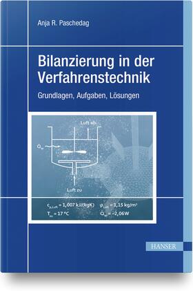 Paschedag | Bilanzierung in der Verfahrenstechnik | Buch | 978-3-446-45410-1 | sack.de
