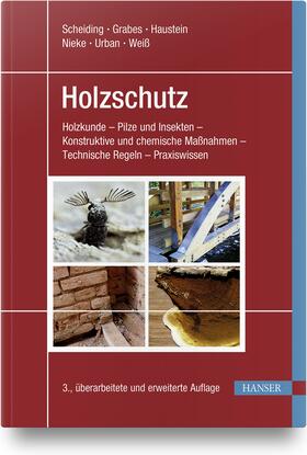 Scheiding / Grabes / Haustein | Holzschutz | Buch | 978-3-446-46578-7 | sack.de
