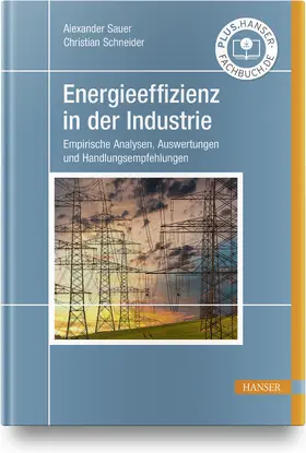 Sauer / Schneider | Energieeffizienz in der Industrie | Buch | 978-3-446-46650-0 | sack.de