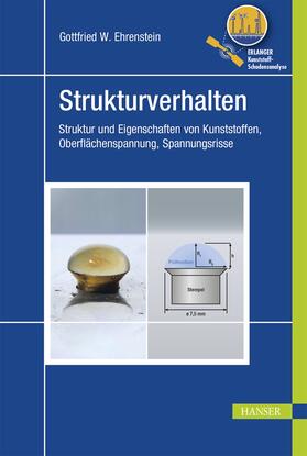 Ehrenstein | Strukturverhalten | E-Book | sack.de