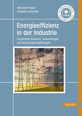 Sauer / Schneider | Energieeffizienz in der Industrie | E-Book | sack.de