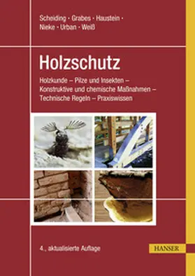 Scheiding / Grabes / Haustein |  Holzschutz | eBook | Sack Fachmedien