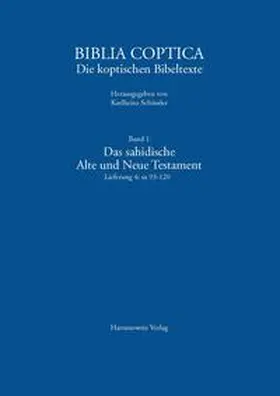 Schüssler |  Das sahidische Alte und Neue Testament. Vollständiges Verzeichnis mit Standorten | Buch |  Sack Fachmedien