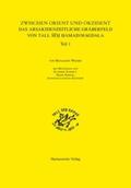 Wehry |  Zwischen Orient und Okzident. Das Arsakidenzeitliche Gräberfeld von Tall Šeh Hamad/Magdala | Buch |  Sack Fachmedien