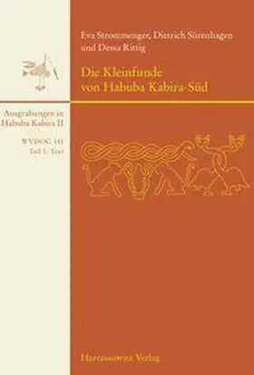 Strommenger / Sürenhagen / Rittig |  Die Kleinfunde von Habuba Kabira-Süd | Buch |  Sack Fachmedien