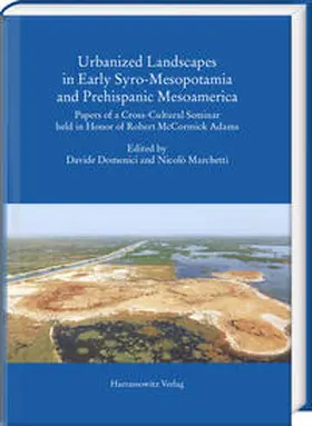 Domenici / Marchetti |  Urbanized Landscapes in Early Syro-Mesopotamia and Prehispanic Mesoamerica | Buch |  Sack Fachmedien