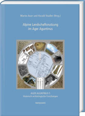 Auer / Stadler |  Alpine Landschaftsnutzung im Ager Aguntinus | Buch |  Sack Fachmedien