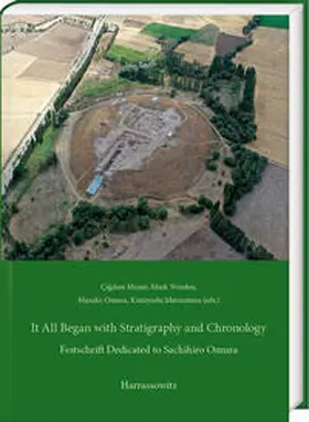 Maner / Matsumura / Omura |  It All Began with Stratigraphy and Chronology | Buch |  Sack Fachmedien