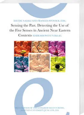 Nadali / Pinnock |  Sensing the Past | eBook | Sack Fachmedien