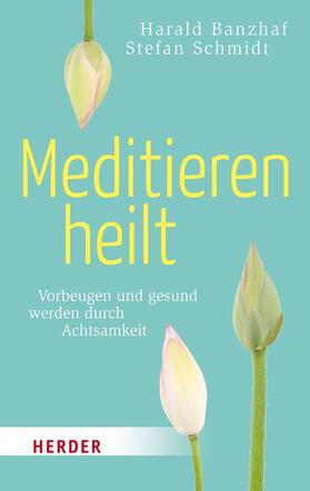 Banzhaf / Schmidt |  Meditieren heilt | Buch |  Sack Fachmedien