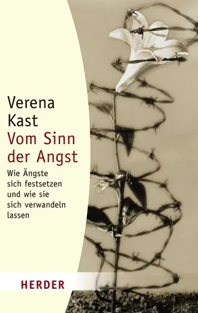 Kast |  Vom Sinn der Angst | Buch |  Sack Fachmedien