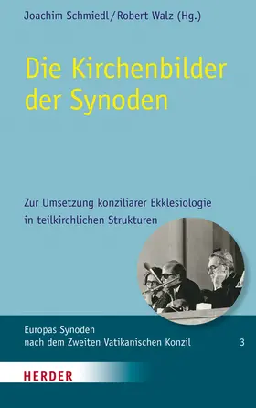 Walz / Schmiedl |  Die Kirchenbilder der Synoden | Buch |  Sack Fachmedien