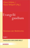 Krämer / Vellguth |  Evangelii gaudium | Buch |  Sack Fachmedien