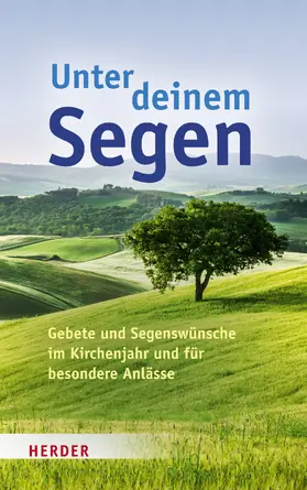 Schulz |  Unter deinem Segen | Buch |  Sack Fachmedien