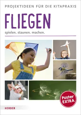 Dapper |  Fliegen | Buch |  Sack Fachmedien