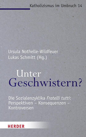 Nothelle-Wildfeuer / Schmitt |  Unter Geschwistern? | Buch |  Sack Fachmedien