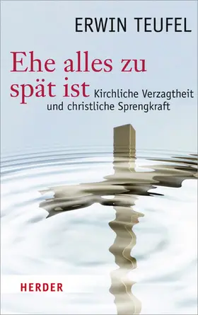 Teufel |  Ehe alles zu spät ist | eBook | Sack Fachmedien