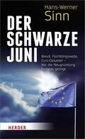 Sinn |  Der Schwarze Juni | eBook | Sack Fachmedien