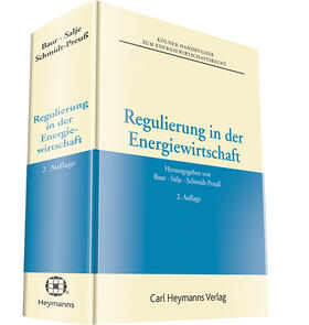 Baur / Salje / Schmidt-Preuß | Regulierung in der Energiewirtschaft | Buch | sack.de