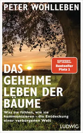 Wohlleben |  Das geheime Leben der Bäume | Buch |  Sack Fachmedien