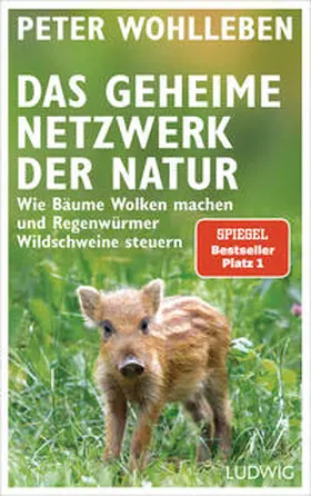Wohlleben |  Das geheime Netzwerk der Natur | Buch |  Sack Fachmedien