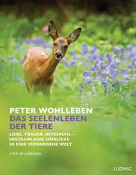 Wohlleben |  Das Seelenleben der Tiere. Der Bildband | Buch |  Sack Fachmedien