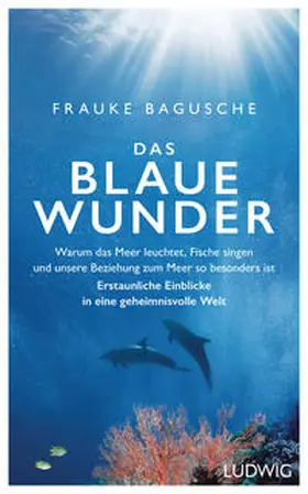 Bagusche |  Das blaue Wunder | Buch |  Sack Fachmedien