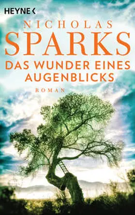 Sparks | Das Wunder eines Augenblicks | Buch | 978-3-453-42393-0 | sack.de