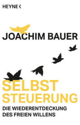Bauer | Selbststeuerung | Buch | 978-3-453-60468-1 | sack.de