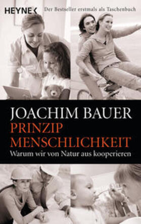 Bauer | Prinzip Menschlichkeit | Buch | 978-3-453-63003-1 | sack.de