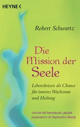 Schwartz |  Die Mission der Seele | Buch |  Sack Fachmedien
