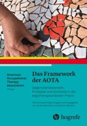 Marotzki / AOTA / Reichel |  Das Framework der AOTA | Buch |  Sack Fachmedien