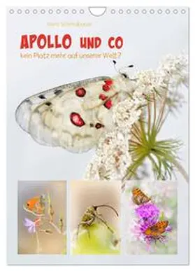 CALVENDO / Schmidbauer |  APOLLO UND CO (Wandkalender 2025 DIN A4 hoch), CALVENDO Monatskalender | Sonstiges |  Sack Fachmedien