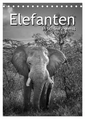 CALVENDO / STYPPA |  Elefanten in schwarz-weiss (Tischkalender 2025 DIN A5 hoch), CALVENDO Monatskalender | Sonstiges |  Sack Fachmedien